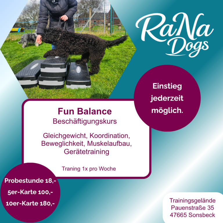 Der Balance Beschäftigungskurs in der Hundeschule RaNa Dogs in Sonsbeck