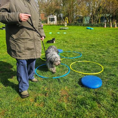 Vertrauen und Mut: Bente meistert beim Balance verschiedenste Übungen