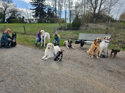 Gruppenbild beim Social Walk am Niederrhein.