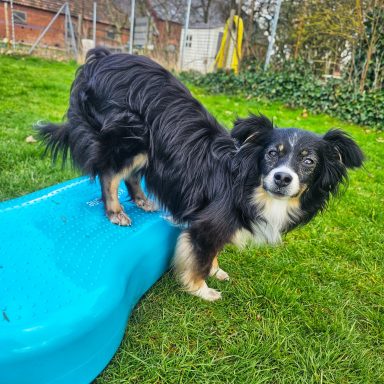 Balance-Übungen langsam und bewusst ausführen