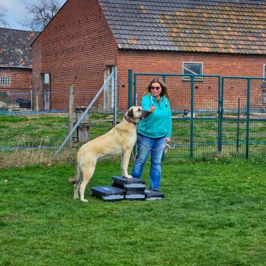 Bewegungen langsam und bewusst ausführen erfordert Ruhe und Geduld: Balance in Sonsbeck