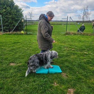 Gleichgewichtstraining macht Spaß beim Balance