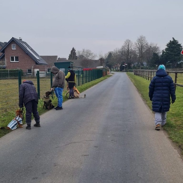 Gruppenunterricht bei RaNa Dogs Hundeschule Sonsbeck Grundlagen des Hundetrainings in Sonsbeck lernen