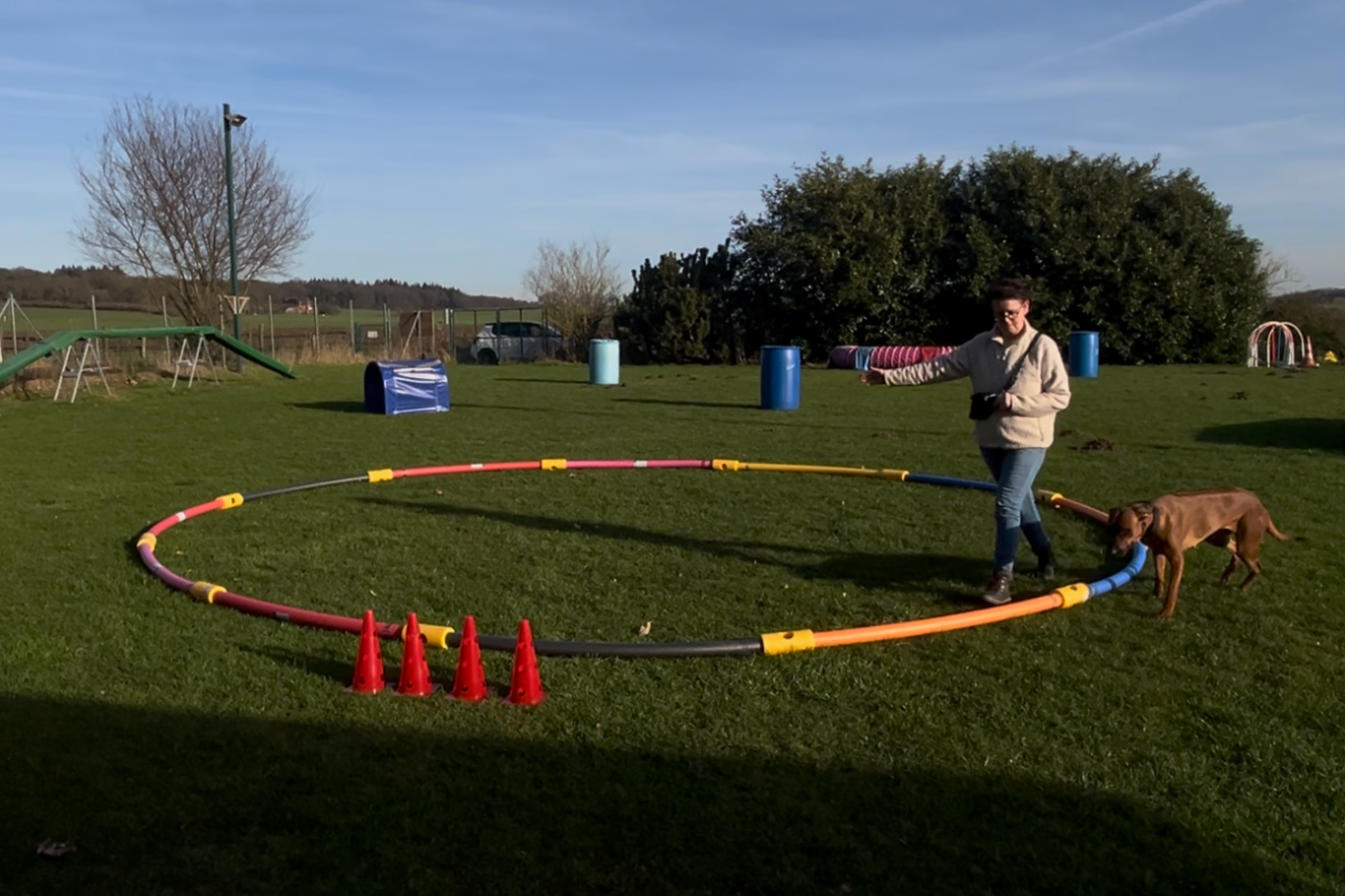 Beschäftigungskurse - wie Longieren, Apportieren, Ballance, betreuter Freilauf und Social Walks - in der Hundeschule RaNa Dogs in Sonsbeck.