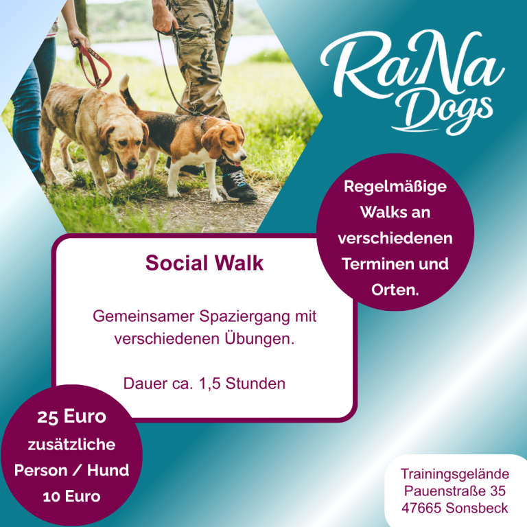 Social Walk am Niederrhein: Hundeschule in Sonsbeck Social Walk mit der Hundeschule RaNa Dogs aus Sonsbeck: Gemeinsam in der Gruppe spazieren gehen und effektiv trainieren.
