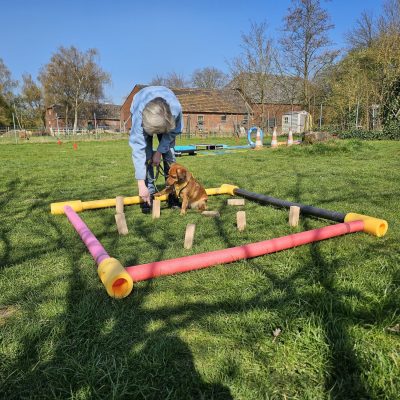 Spaß-Parcours als Beschäftigung in der Hundeschule in Sonsbeck