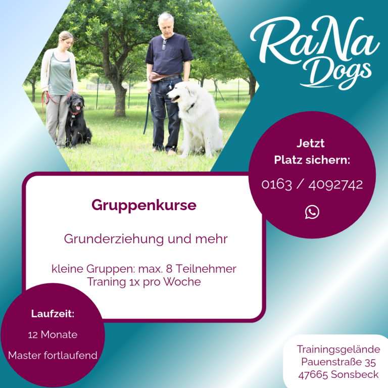 Gruppenkurse bei der Hundeschule RaNa Dogs in Sonsbeck, Basic-Kurs, Master-Kurs, Grunderziehung für dich und deinen Hund.