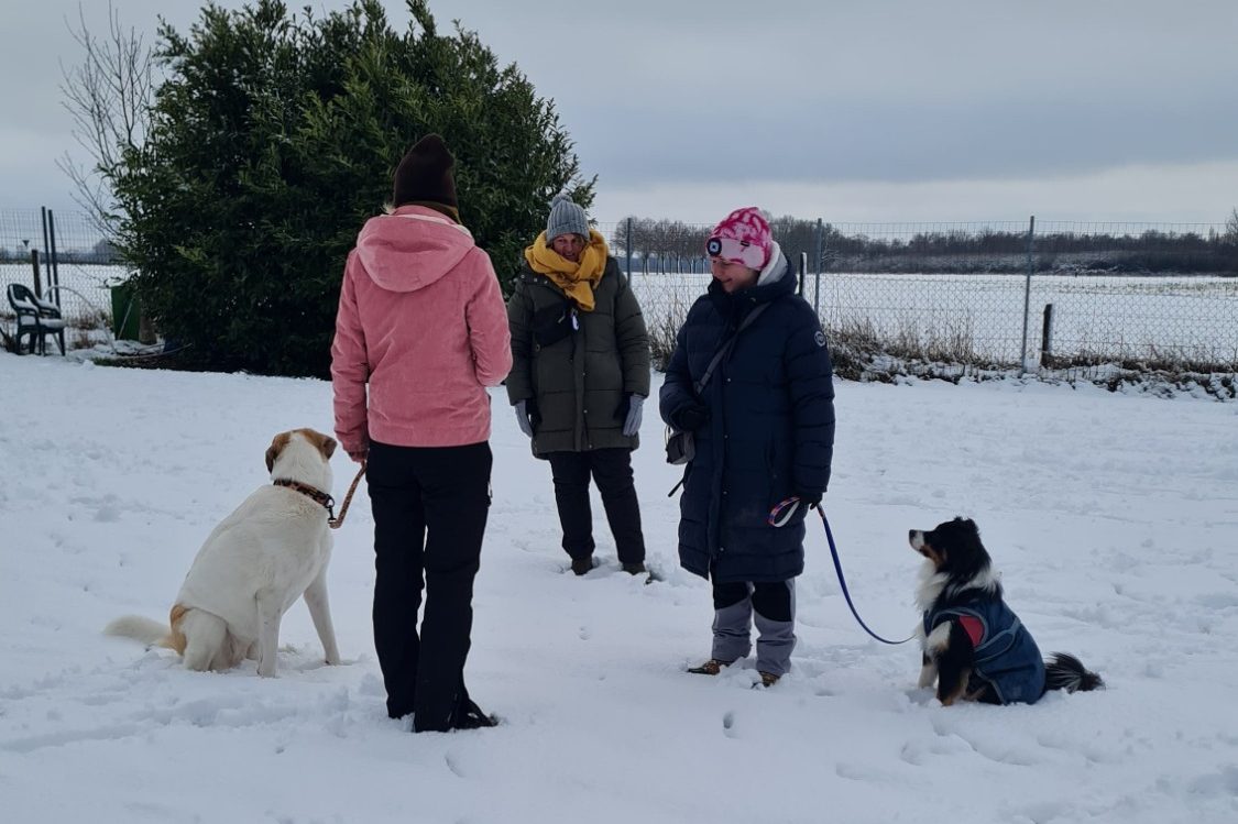 Ausbildung zum Hundetrainer bei der Hundeschule RaNa Dogs in Sonsbeck und Rheinberg.