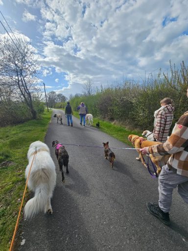 Alte Bekannte und neue Freunde: Social Walk in Sonsbeck am Niederrhein.
