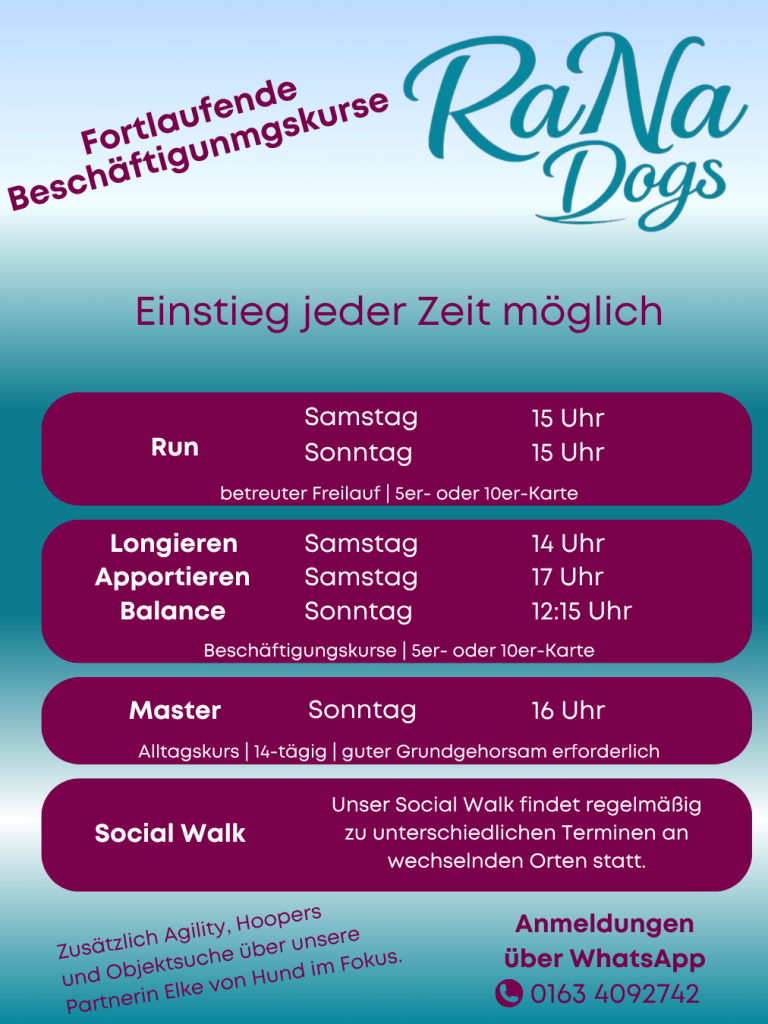 Fortlaufende Beschäftigungskurse in der Hundeschule in Sonsbeck